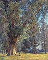 Trees in the Prater
